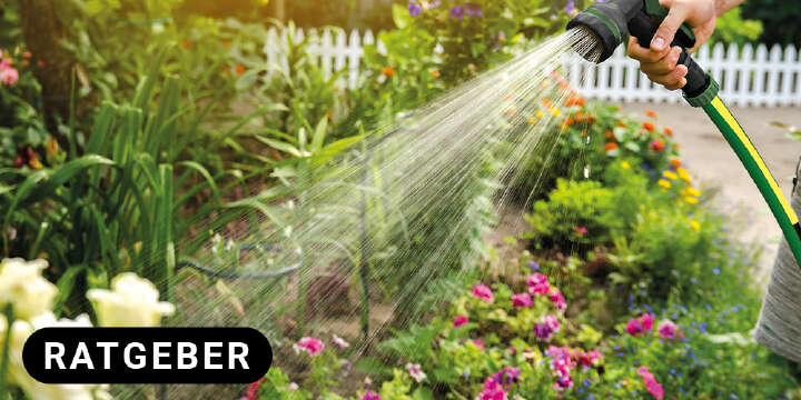 garten wird gegossen landflair ratgeber badge 1000x500
